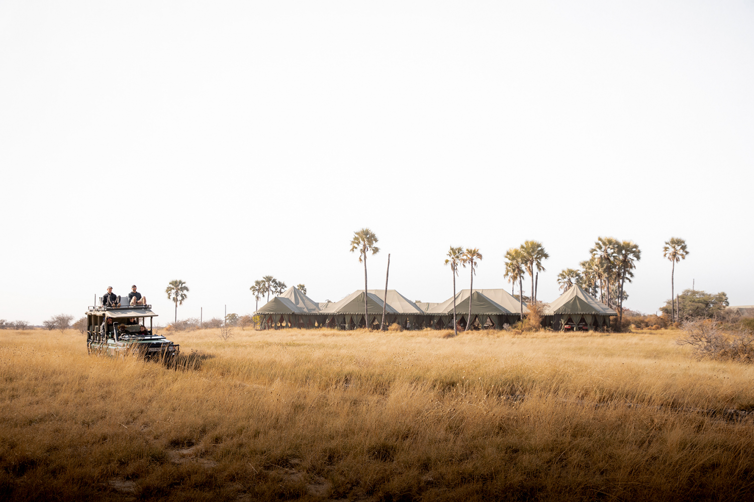 kalahari_colu