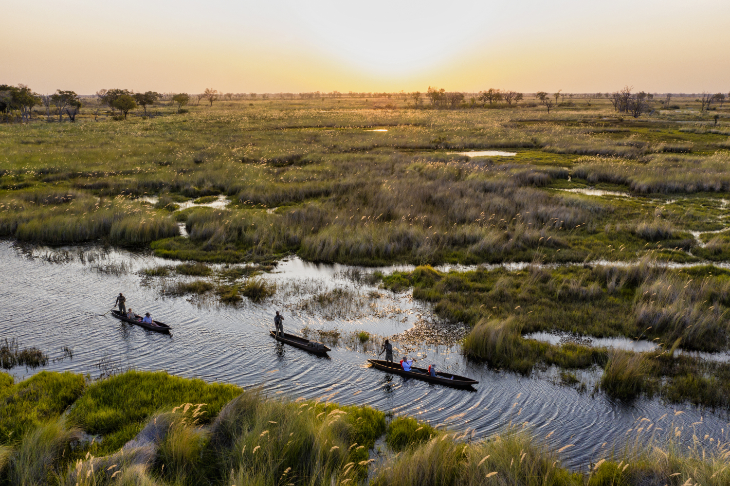 Mokoro_safari