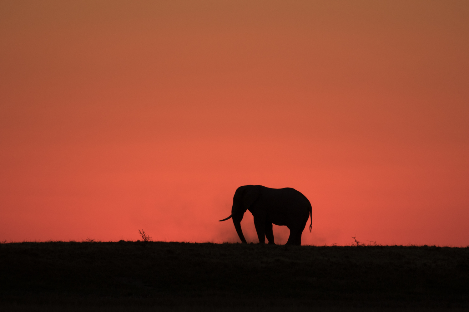 Mokoro_safari