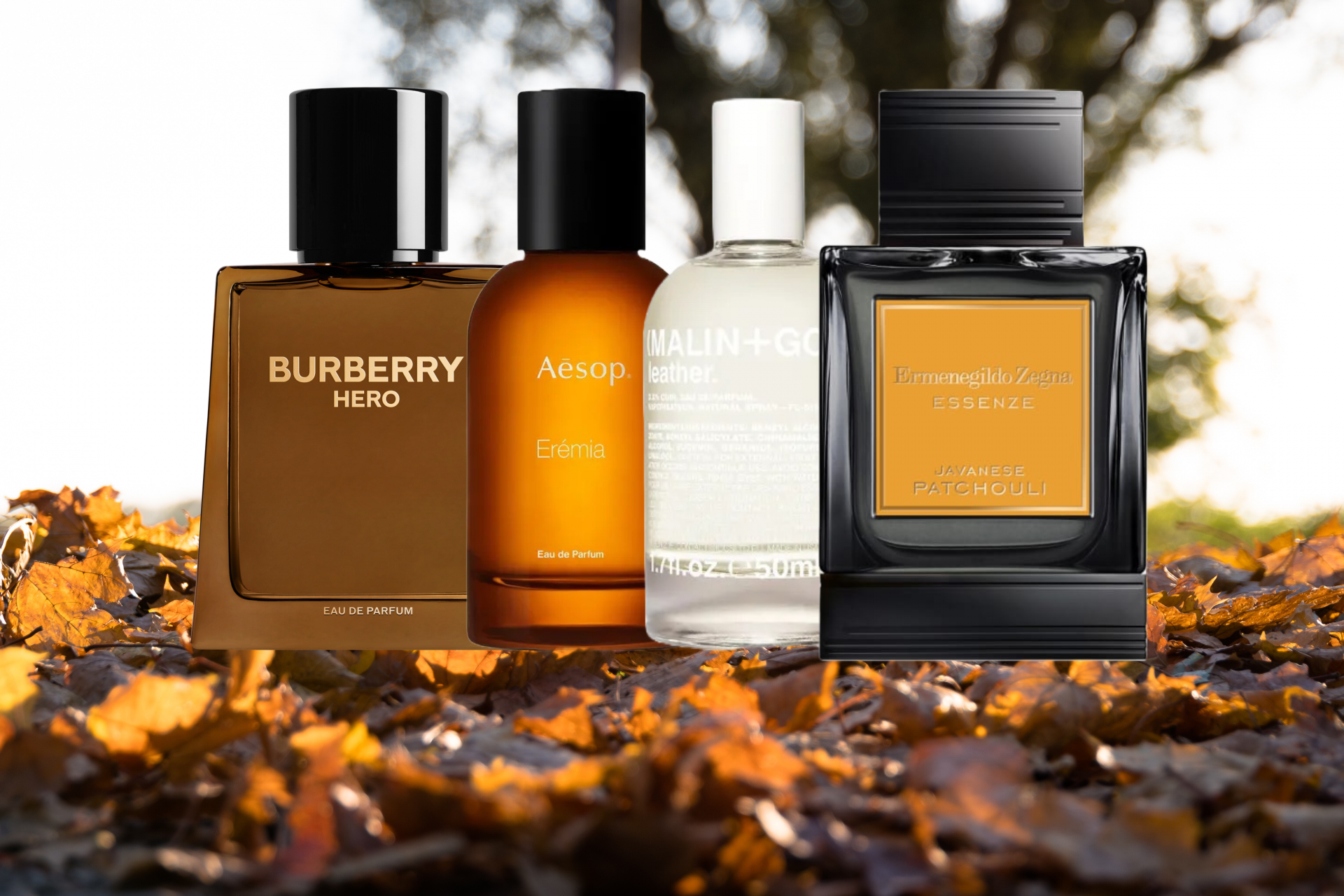 Sonbahar İçin En İyi Erkek Parfümleri